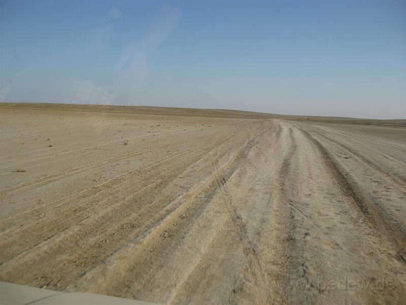 IMG_1165.jpg