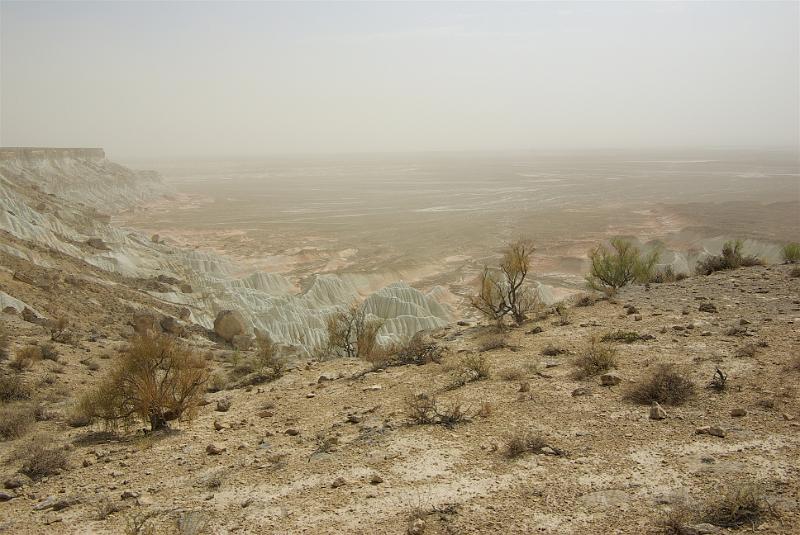 IMGP0905.jpg