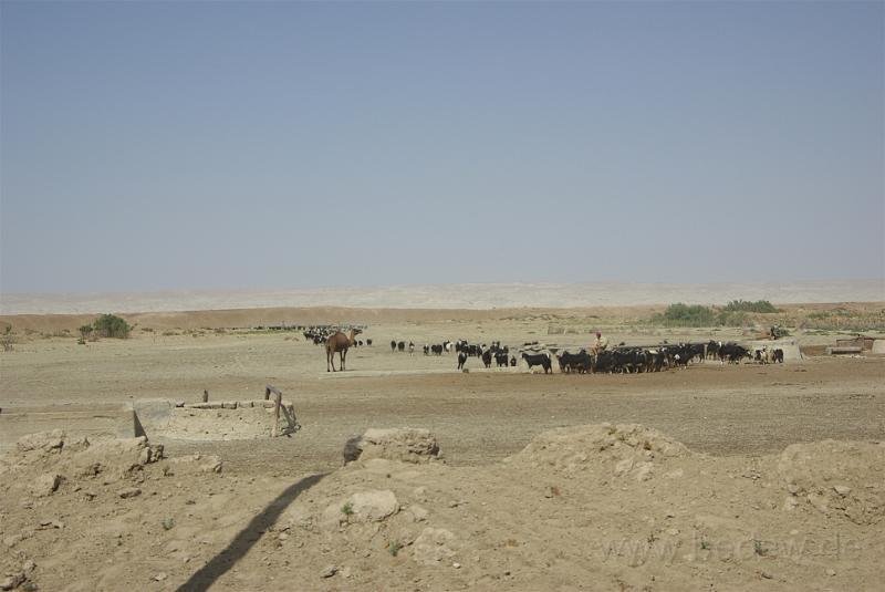 IMGP1123.jpg