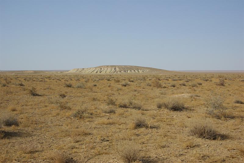 IMGP1133.jpg
