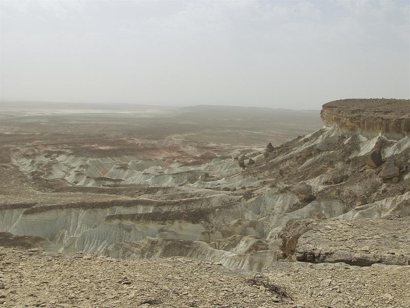 P8126312.jpg